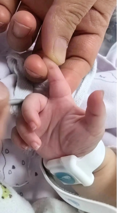 微信截图_20240328084634.png