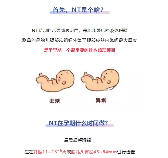 微信截图_20250411085221.png